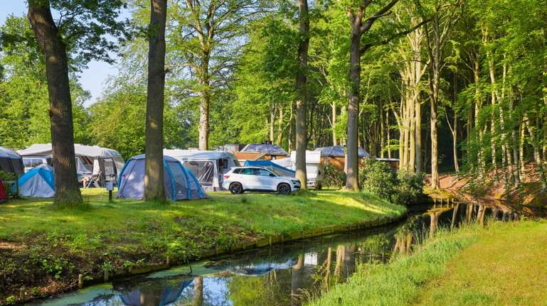 sonnenschutz fr markise wohnmobil Frontnetz-SHADE 400  Optimaler Sonnensch