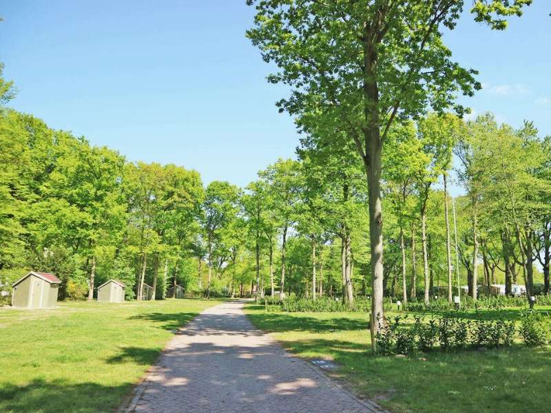 Campingfeld Beukenveld