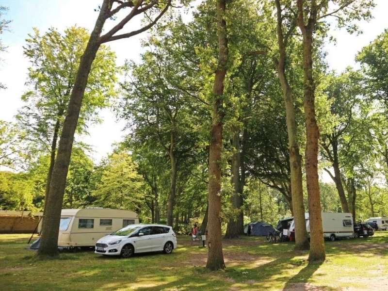 Campingfeld Hertenkamp